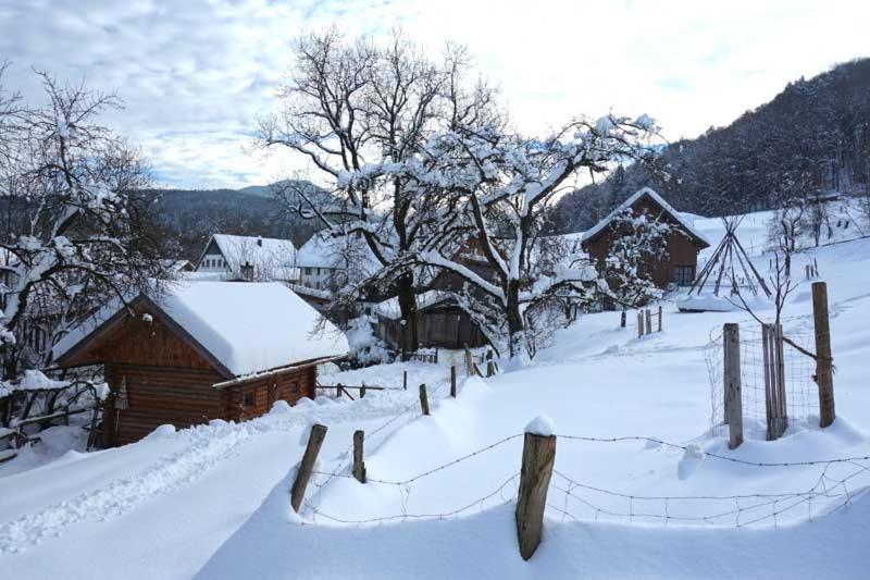 Pension Ober Siegsdorf Exterior foto